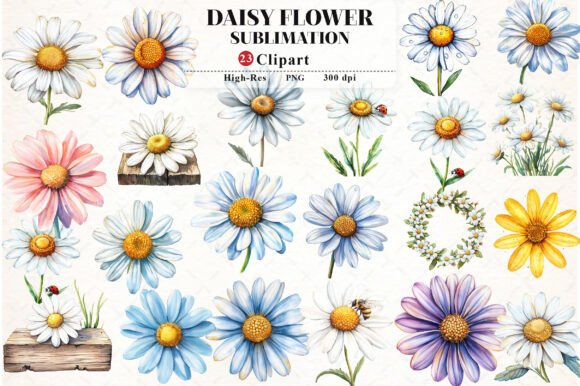 Download Daisy Flower Watercolor Cliparts - Premium Resources